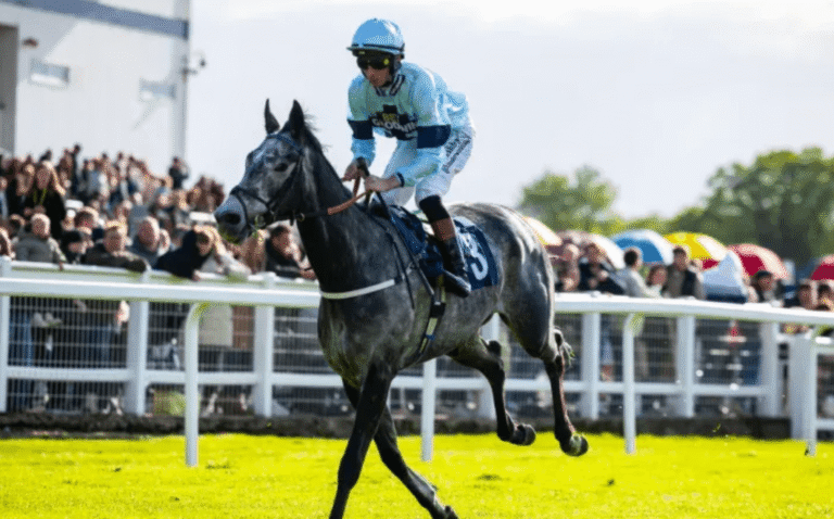 Flat Racing Vs Jump Racing: What’s the Difference?