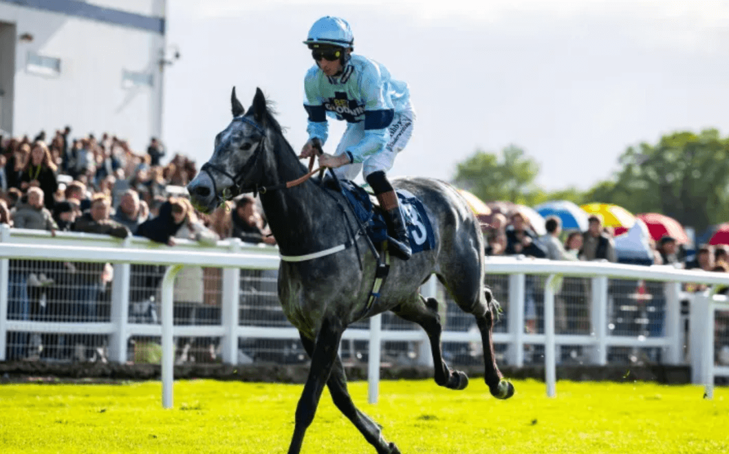 Flat Racing Vs Jump Racing: What’s the Difference?