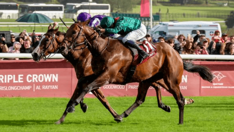 Horse Racing in France: The Elegance of the Turf