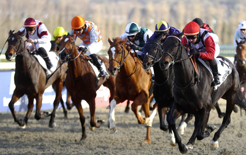 cplemaire || cplemaire couplé du jour || cplemaire la voyeuse || cplemaire 18 || cplemaire pmu || cplemaire turf